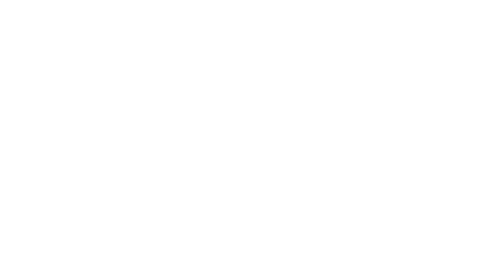 MSG software logo